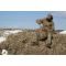  Цвет: Coyote Brown